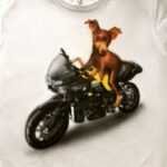 Portrait of dog motorcycle